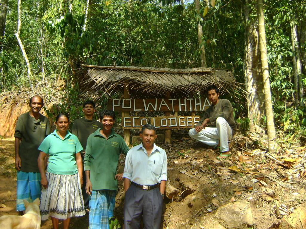 Polwaththa Eco Lodges Digana Extérieur photo